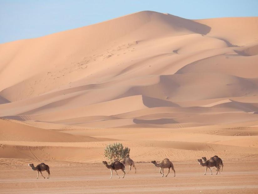 Auberge Sahara Garden Lac Yasmins ภายนอก รูปภาพ